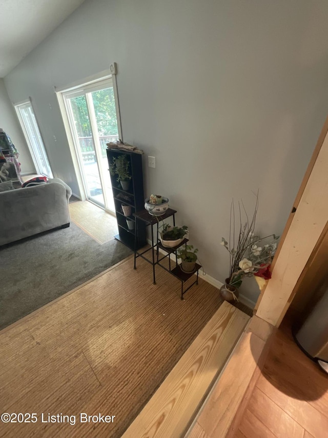 40 Sunflower Ln, Brandenburg, KY 40108 - interior space with vaulted ceiling