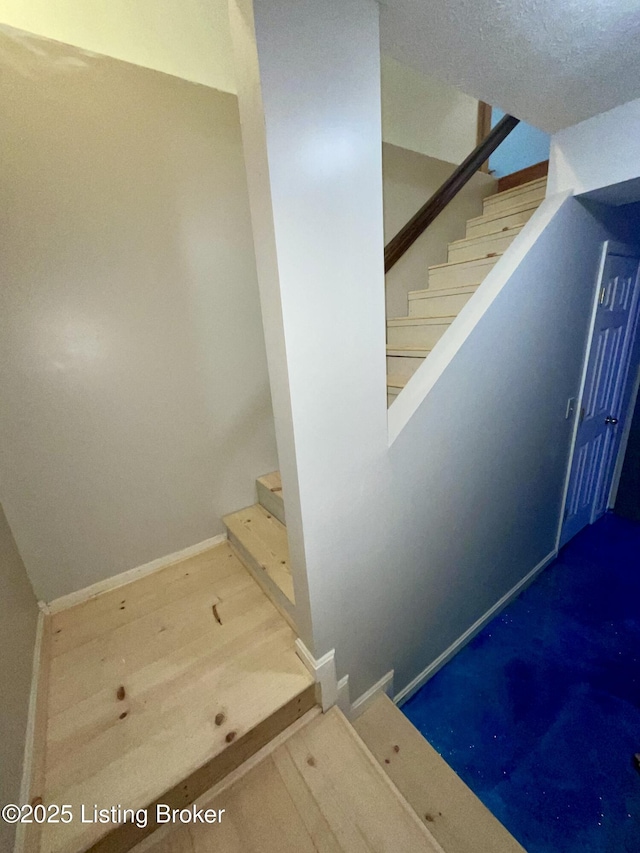 40 Sunflower Ln, Brandenburg, KY 40108 - stairs featuring baseboards
