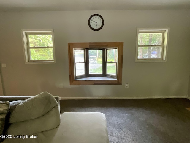 40 Sunflower Ln, Brandenburg, KY 40108 - unfurnished room featuring healthy amount of natural light and carpet flooring