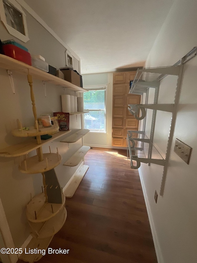40 Sunflower Ln, Brandenburg, KY 40108 - view of storage