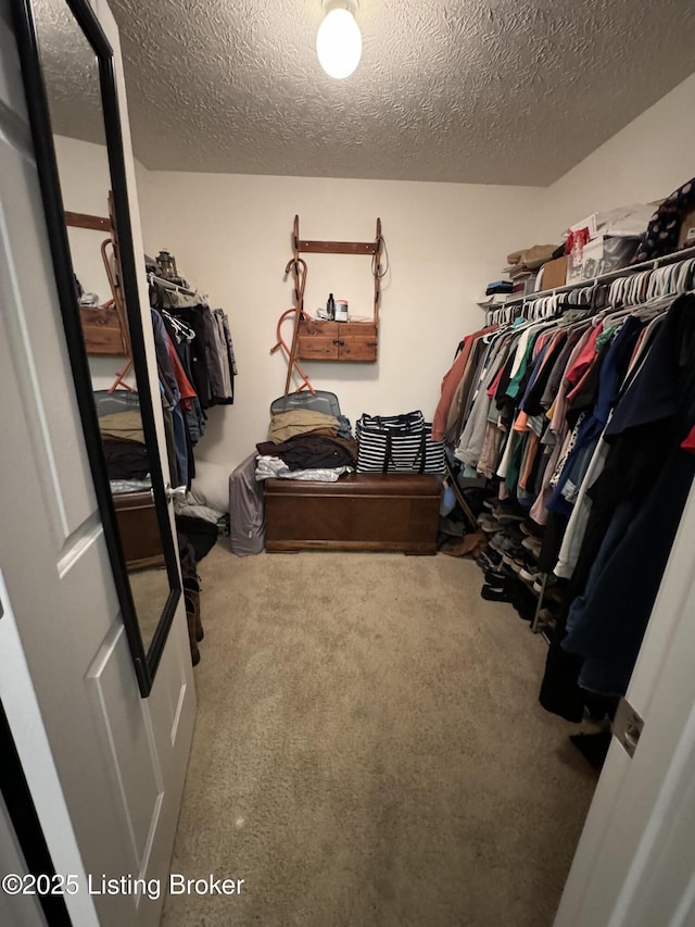 79 Brightberry Rd, Brandenburg, KY 40108 - walk in closet with carpet flooring