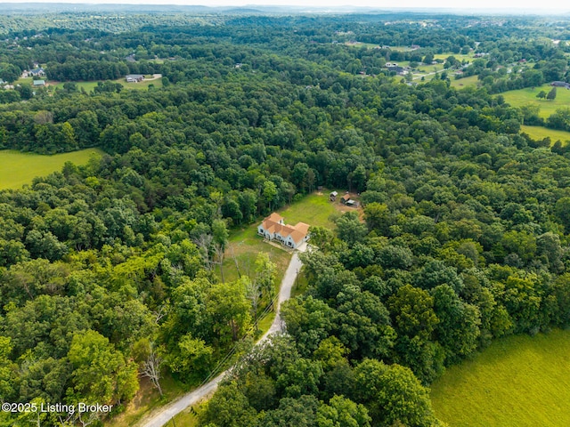 1079 Armstrong Ln, Mt Washington, KY 40047 - photo 74