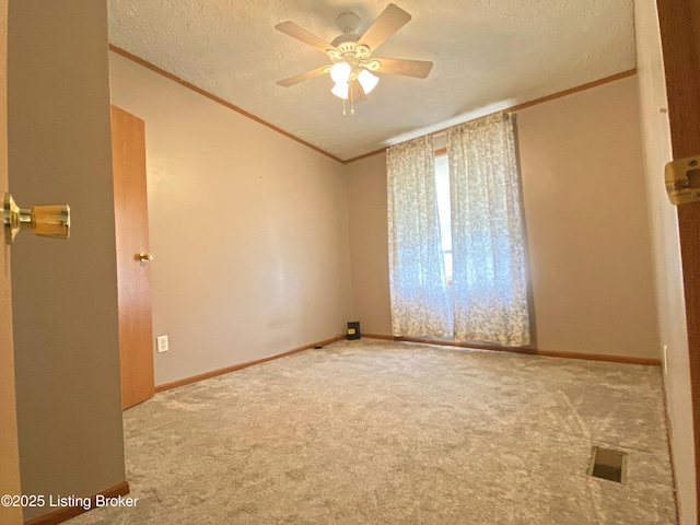 356 Armes Lively Rd, Leitchfield, KY 42754 - carpeted empty room featuring crown molding, ceiling fan, and a textured ceiling