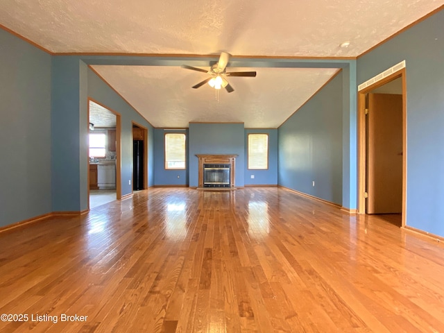 356 Armes Lively Rd, Leitchfield, KY 42754 - unfurnished living room featuring lofted ceiling, ceiling fan, a glass covered fireplace, wood finished floors, and a textured ceiling