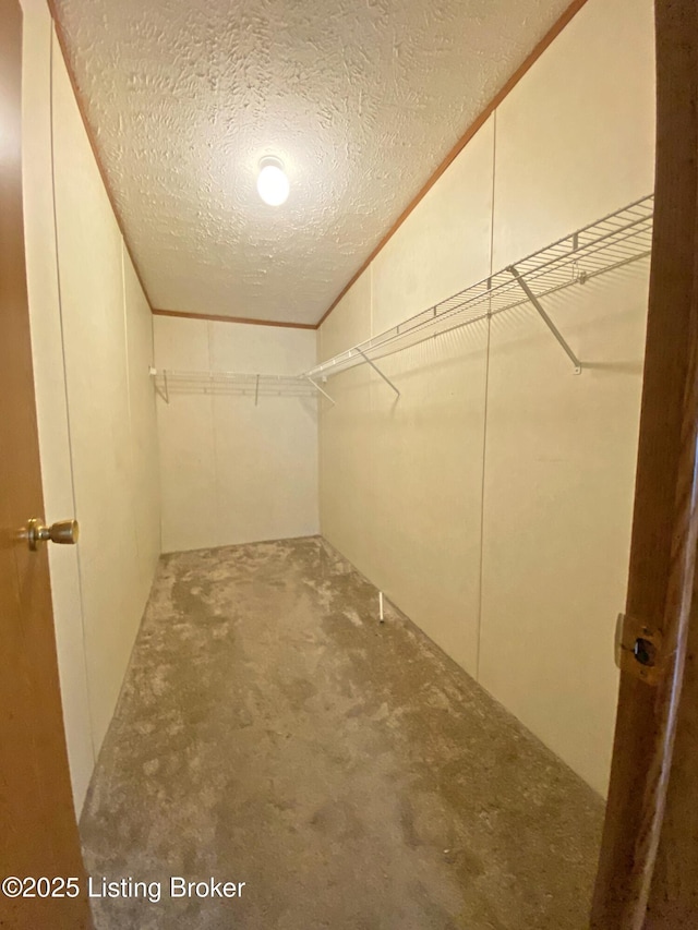 356 Armes Lively Rd, Leitchfield, KY 42754 - walk in closet featuring carpet