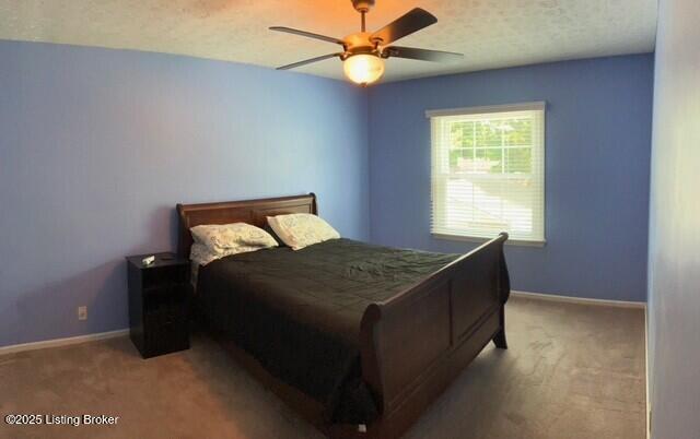 8304 Old Boundary Rd, Louisville, KY 40291 - photo 52