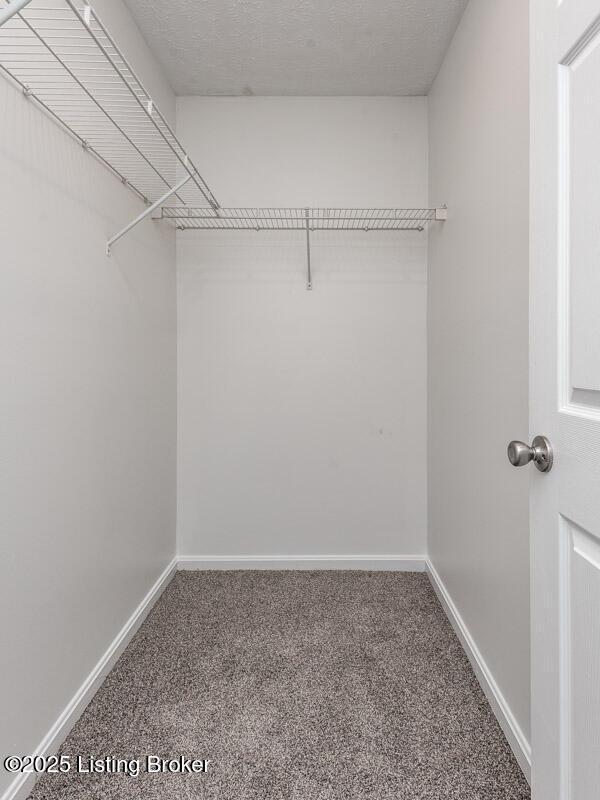 3223 Herman St, Louisville, KY 40212 - photo 13