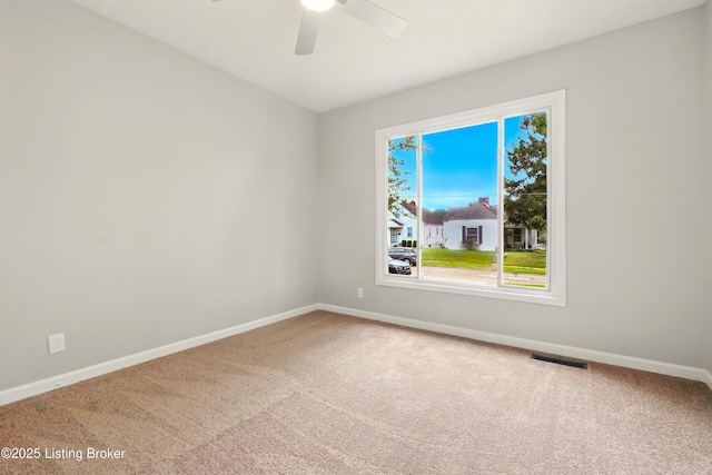 3601 Powell Ave, Louisville, KY 40215 - photo 13