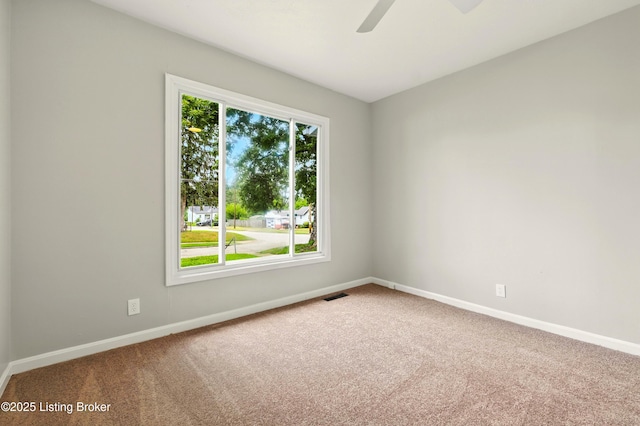 3601 Powell Ave, Louisville, KY 40215 - photo 14