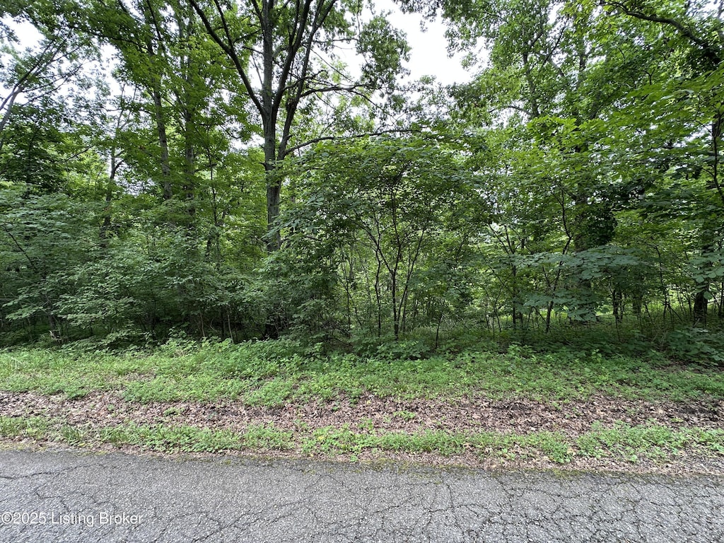 LOT0 Lakeview Dr, Bloomfield, KY 40008 - photo 1