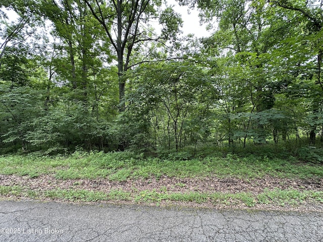 LOT0 Lakeview Dr, Bloomfield, KY 40008 - photo 1