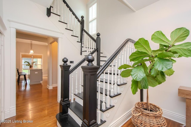 135 N Birchwood Ave, Louisville, KY 40206 - photo 13