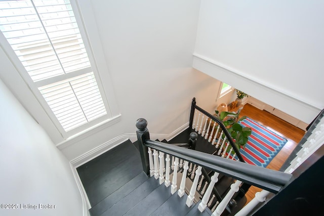 135 N Birchwood Ave, Louisville, KY 40206 - photo 33