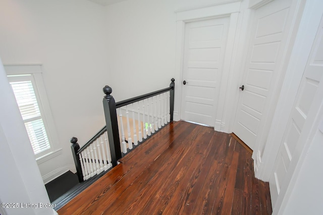 135 N Birchwood Ave, Louisville, KY 40206 - photo 34