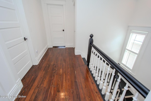 135 N Birchwood Ave, Louisville, KY 40206 - photo 35