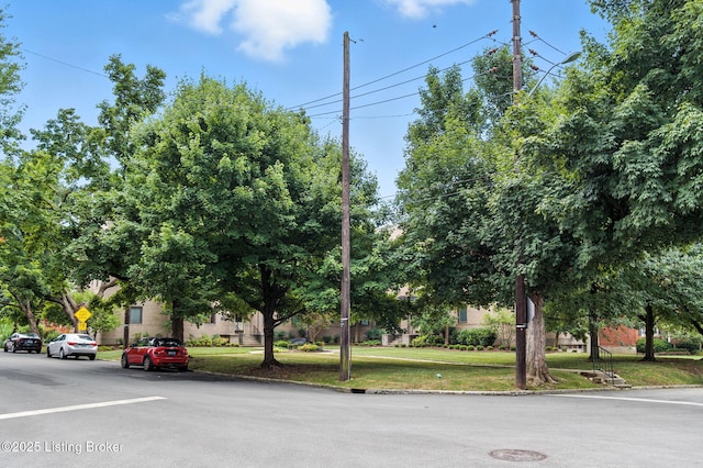 2126 Village Dr Unit 11, Louisville, KY 40205 - photo 51
