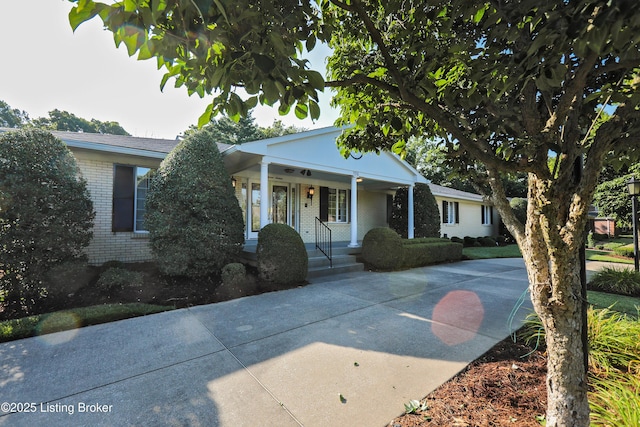 1516 Sylvan Ct, Louisville, KY 40205 - photo 101