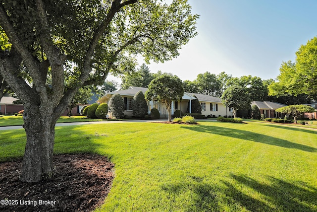 1516 Sylvan Ct, Louisville, KY 40205 - photo 94