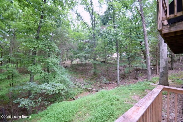 40 Ivy Ct, Brandenburg, KY 40108 - photo 6