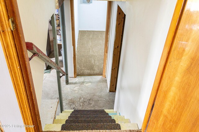 11010 Oliverda Dr, Louisville, KY 40272 - photo 24