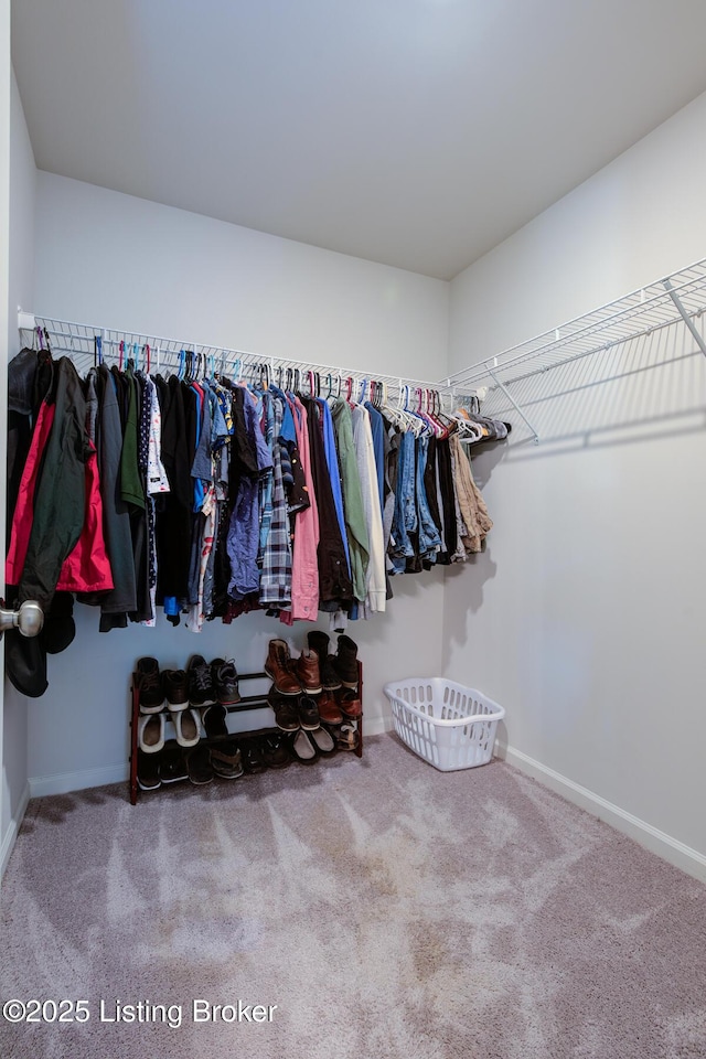144 Bellefonte Ct, Louisville, KY 40229 - photo 20