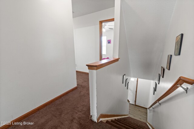 9612 Riverwalk Ave, Louisville, KY 40229 - photo 20