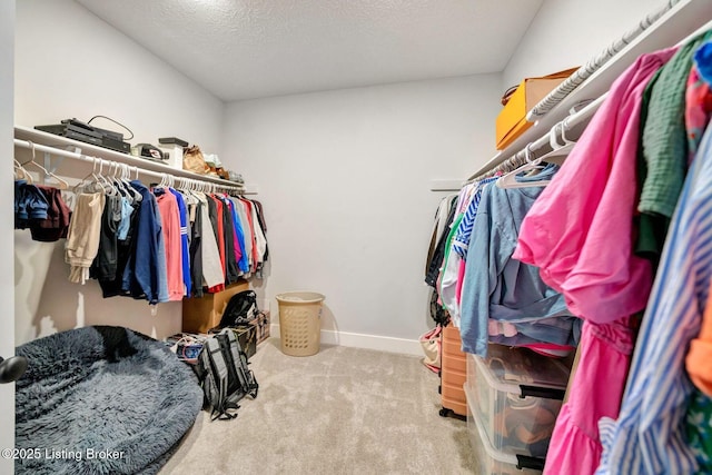 90 Glenn Eagle Rd, Brandenburg, KY 40108 - spacious closet featuring carpet flooring