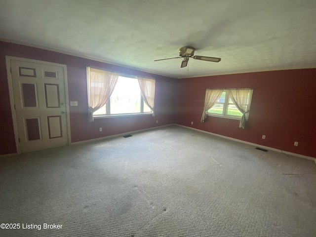 7712 3rd Street Rd, Louisville, KY 40214 - photo 10