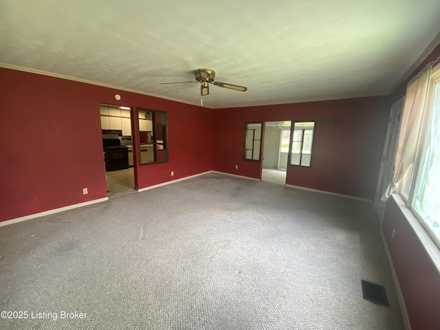 7712 3rd Street Rd, Louisville, KY 40214 - photo 11