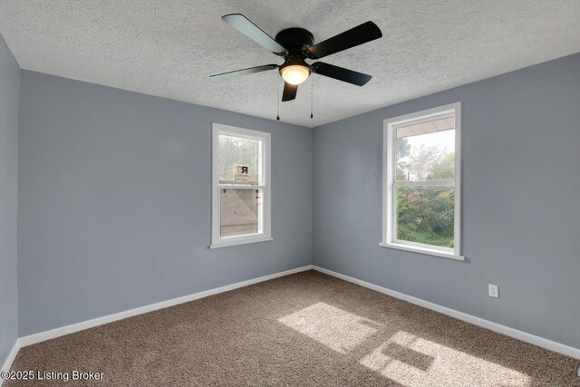 3120 Dumesnil St, Louisville, KY 40211 - photo 22