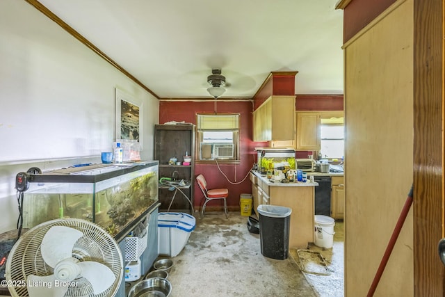 2904 State Route 58 E, Mayfield, KY 42066 - kitchen with light colored carpet, ceiling fan, crown molding, black dishwasher, and light countertops
