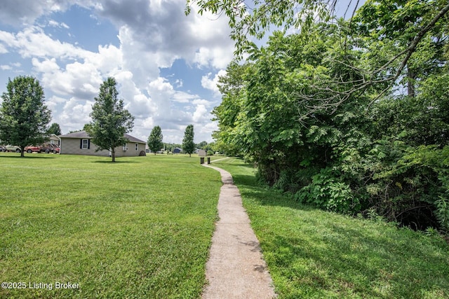 515 Clymene Rd, Cecilia, KY 42724 - view of grassy yard
