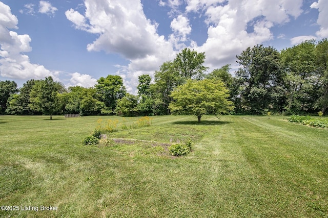 515 Clymene Rd, Cecilia, KY 42724 - view of grassy yard