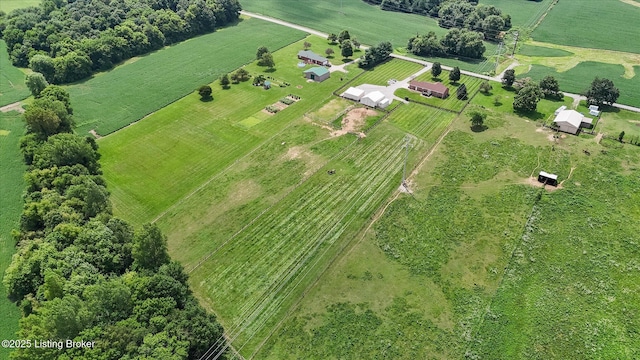 292 Banta Ln, Pleasureville, KY 40057 - photo 48