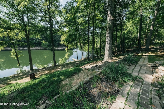141 Hidden Valley Ext B Ln, Hudson, KY 40145 - photo 47