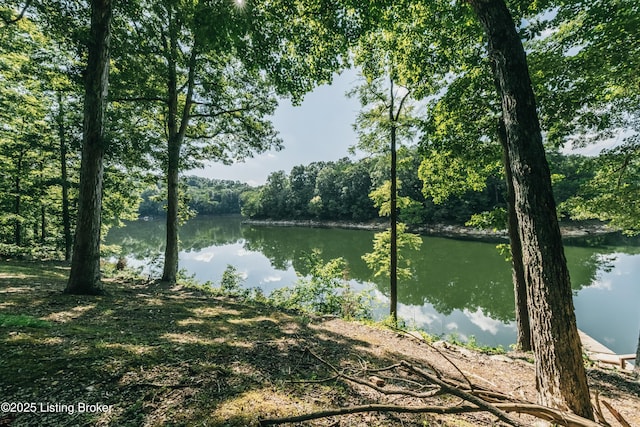 141 Hidden Valley Ext B Ln, Hudson, KY 40145 - photo 51