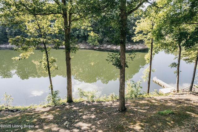 141 Hidden Valley Ext B Ln, Hudson, KY 40145 - photo 65