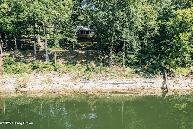 141 Hidden Valley Ext B Ln, Hudson, KY 40145 - photo 67