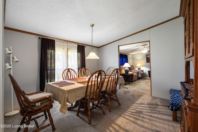 18 Meadowlark Ct, Bedford, KY 40006 - photo 6