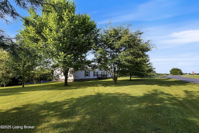 18 Meadowlark Ct, Bedford, KY 40006 - photo 38