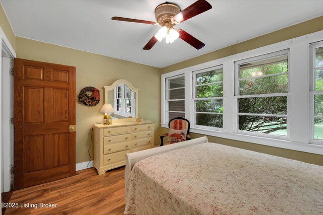 712 Rudy Ln, Louisville, KY 40207 - photo 26