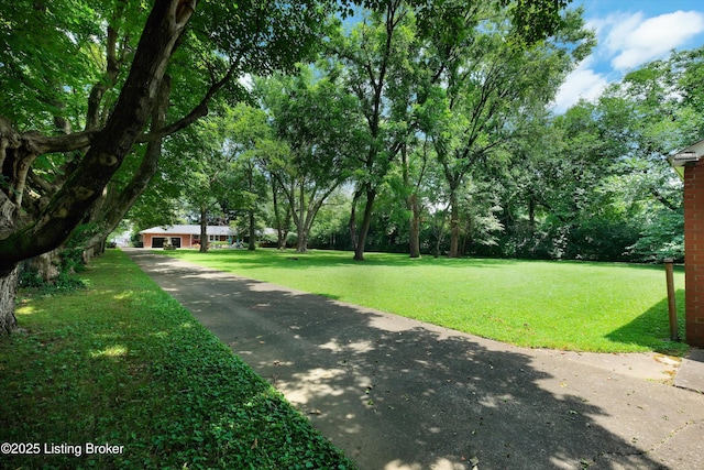 712 Rudy Ln, Louisville, KY 40207 - photo 38