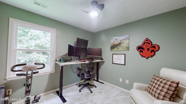 4705 Sunny Meadow Ct, Louisville, KY 40241 - photo 23