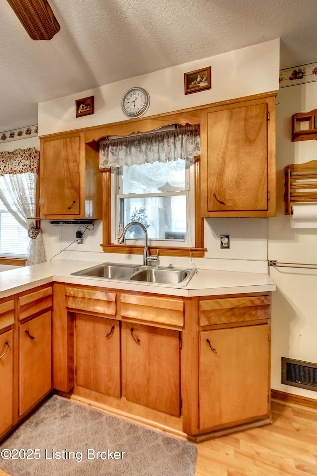 8209 Terry Rd, Louisville, KY 40258 - photo 16