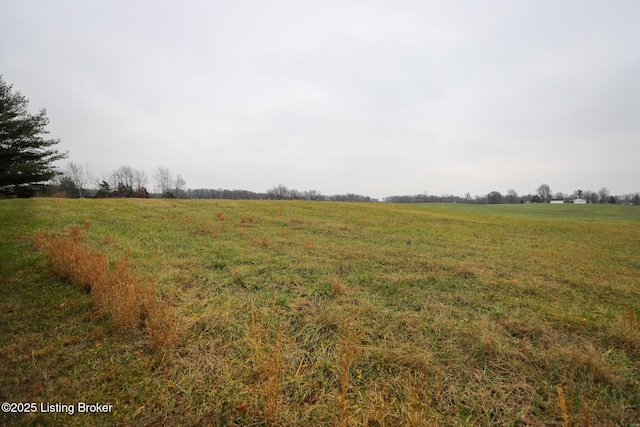 LOT1D Mudsplash Rd, Glendale, KY 42740 - photo 9