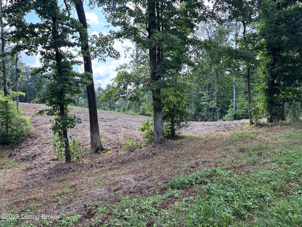 0 Wooldridge Ferry Rd, Elizabethtown, KY 42701 - photo 1