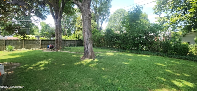 4029 Elmwood Ave, Louisville, KY 40207 - photo 34
