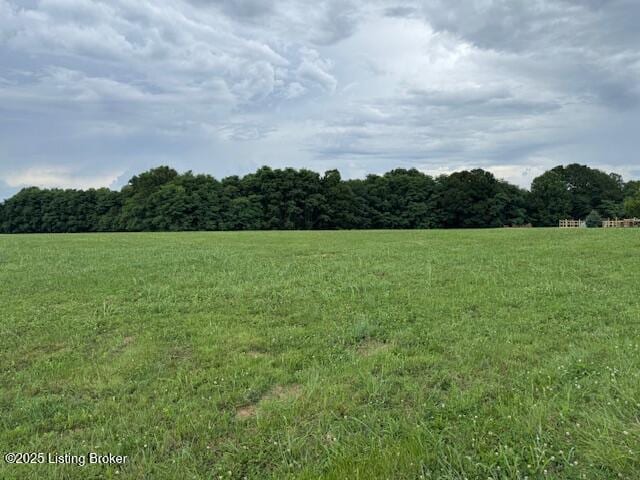 LOT30/31 Sycamore Trl, Bedford, KY 40006 - photo 1