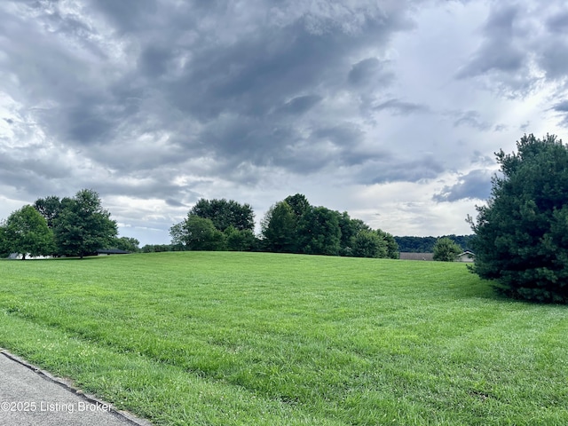 6505 Jack Taylor Pl, Westport, KY 40077 - photo 3