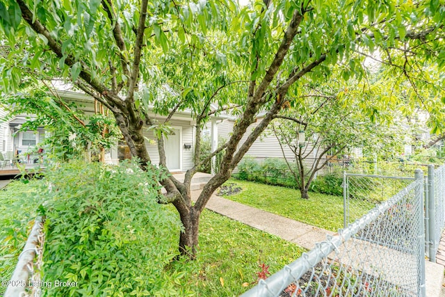 621 Atwood St, Louisville, KY 40217 - photo 4